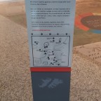 Malvinas (16)