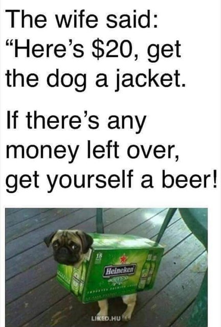 beer-jacket.jpg