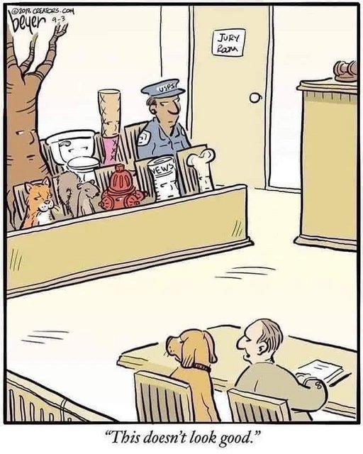 dog-on-trial.jpg